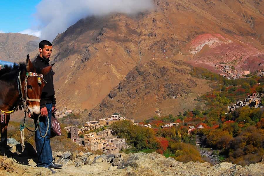 From Marrakech: Full-Day Atlas Mountain Berber Tour - Tahnaout and the argan oil lesson