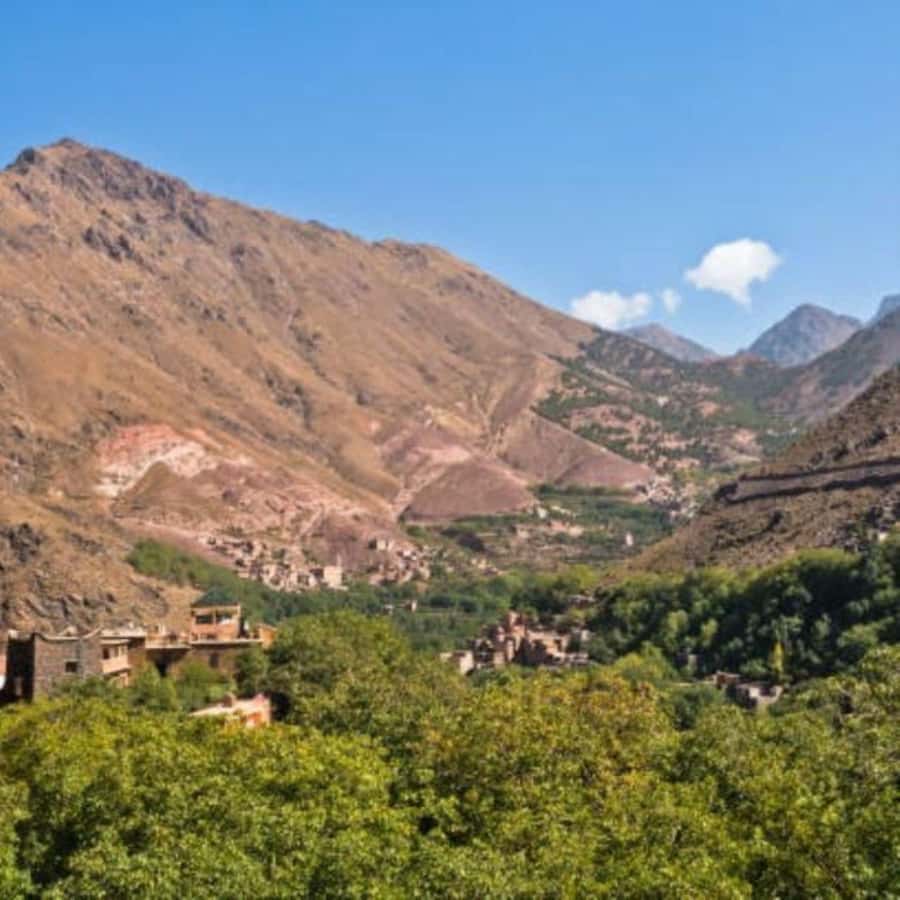 From Marrakech: Full-Day in the Atlas Mountains with Lunch - Who should book this experience?