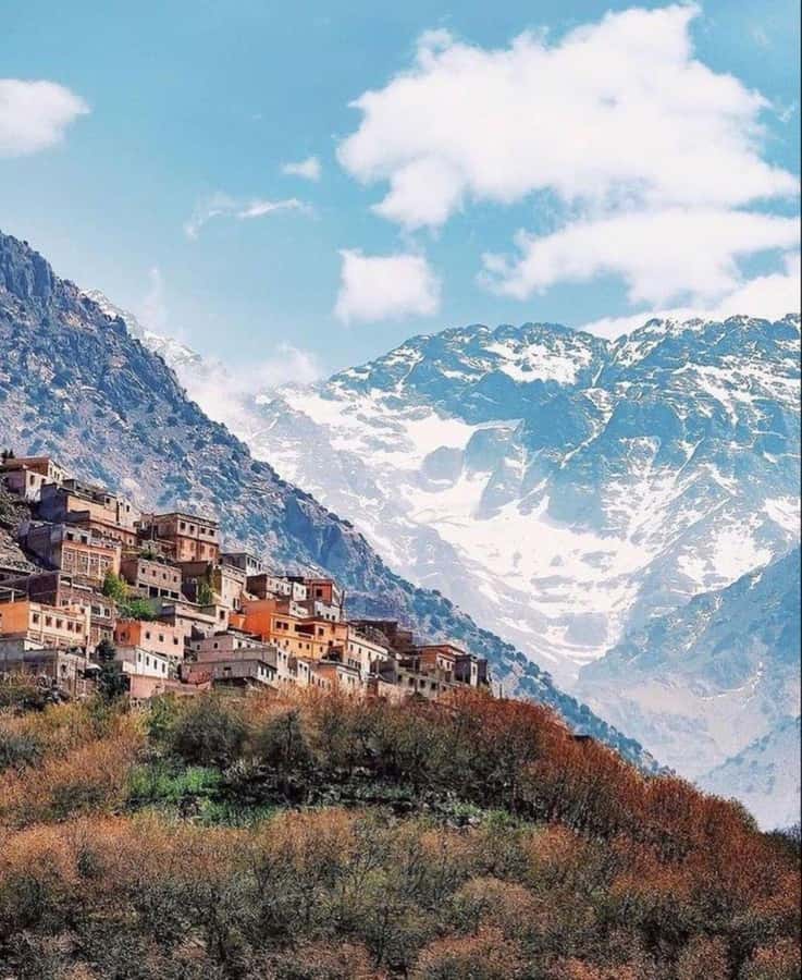 From Marrakech: Full-Day in the Atlas Mountains with Lunch - Why this Atlas Mountains day trip is worth considering
