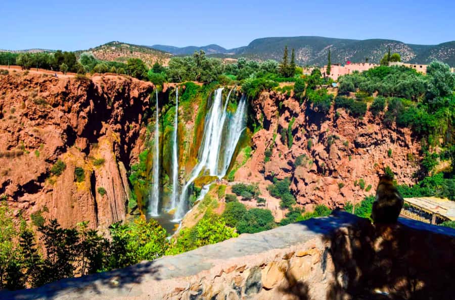 From Marrakech: Guided Ouzoud Waterfalls Tour with Boat Ride - The return journey through Tamlalte