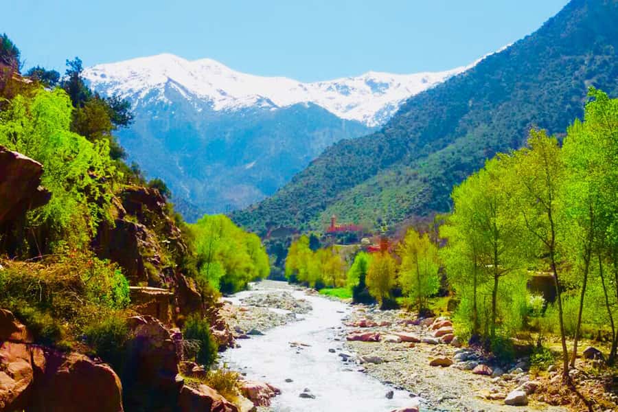 From Marrakech: Half-Day Tour to Atlas Mountains & Ourika - Choosing the Waterfalls or a Riverside Break