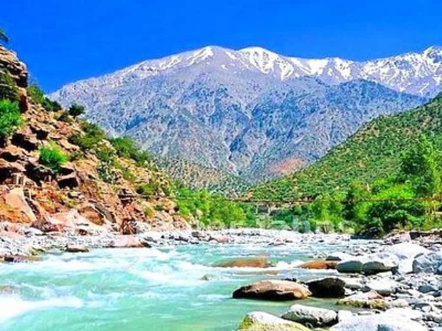 From Marrakech: Half-Day Tour to Atlas Mountains & Ourika - What the Guides Add to the Day