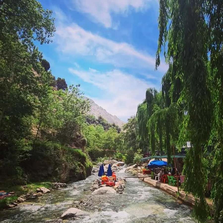 From Marrakech: Half-Day Tour to Atlas Mountains & Ourika - Is $17 Good Value?