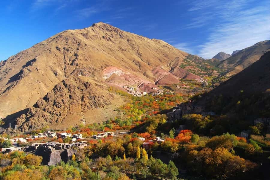 From Marrakech: High Atlas Berber Cooking Class - Meeting a Berber family in the mountains