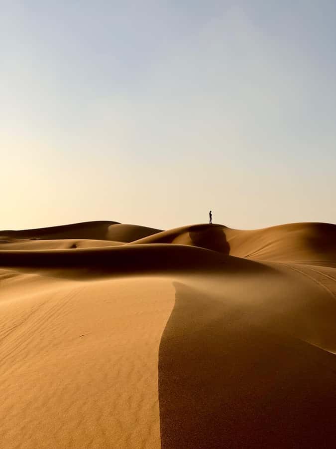 From Marrakech: Merzouga 4 Day Luxury Tour w/ Optional Quad - Day 4: Ouarzazate and the long road back