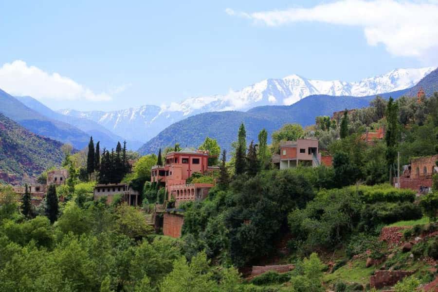 From Marrakech: Ourika Valley & Atlas Mountains Waterfalls - The return ride and the value of the day