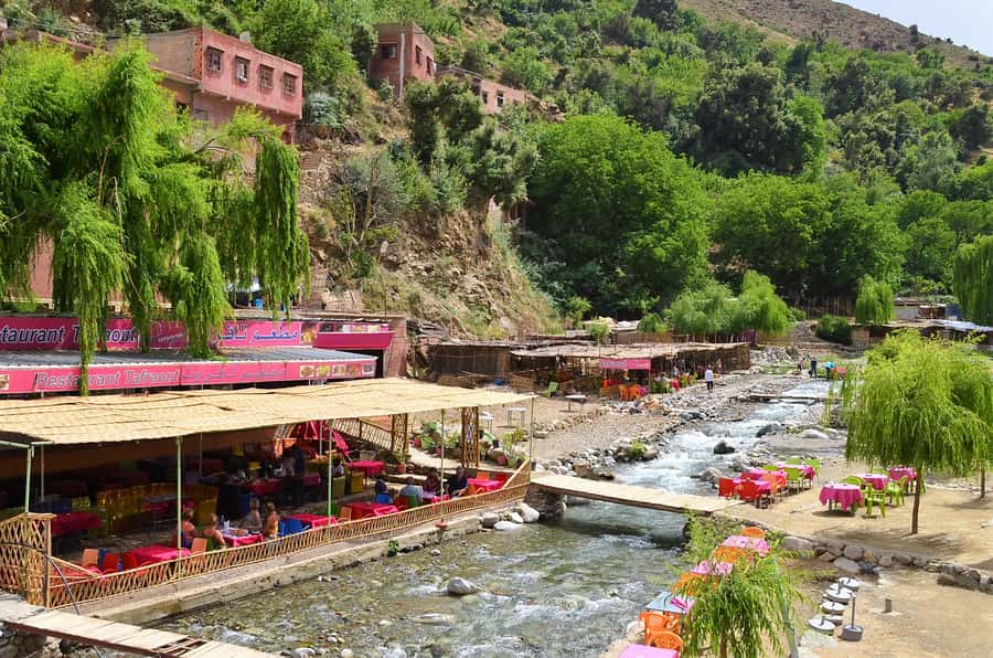 From Marrakech: Ourika Valley & Atlas Mountains Waterfalls - Argan oil, mint tea, and a women’s cooperative