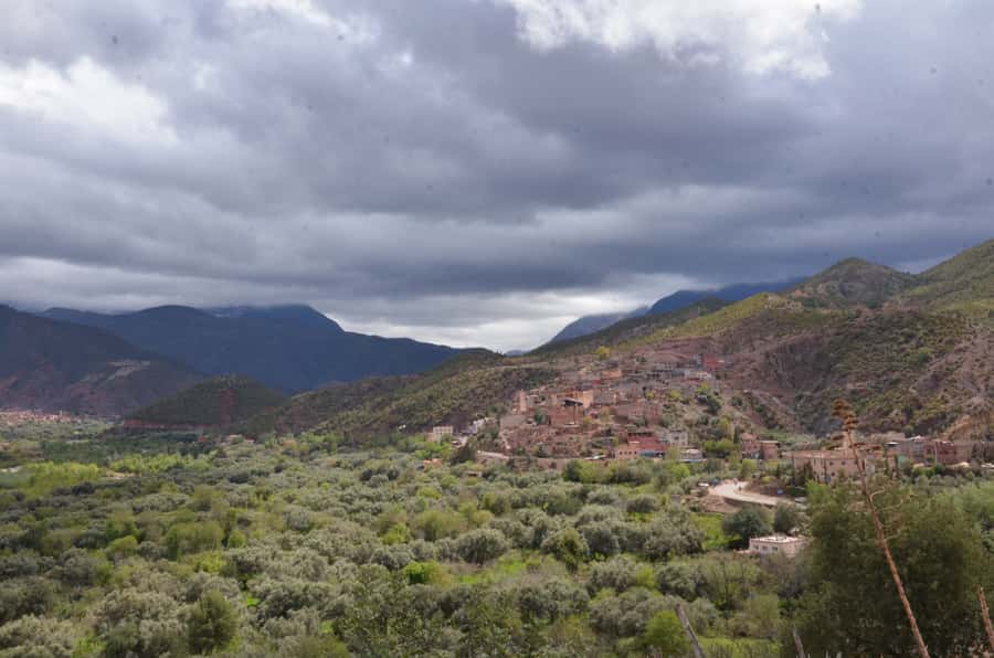 From Marrakech: Ourika Valley Day Trip with Lunch - Mosque views, plants, and small discoveries