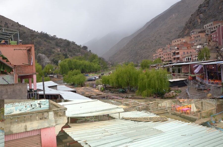 From Marrakech: Ourika Valley Day Trip with Lunch - Who will enjoy this day most