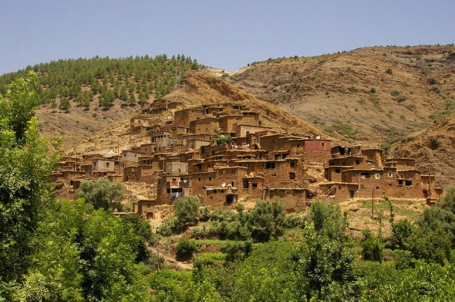 From Marrakech: Ourika Valley Tour with Lunch & Camel Ride - The Camel Ride with Atlas Mountain Scenery