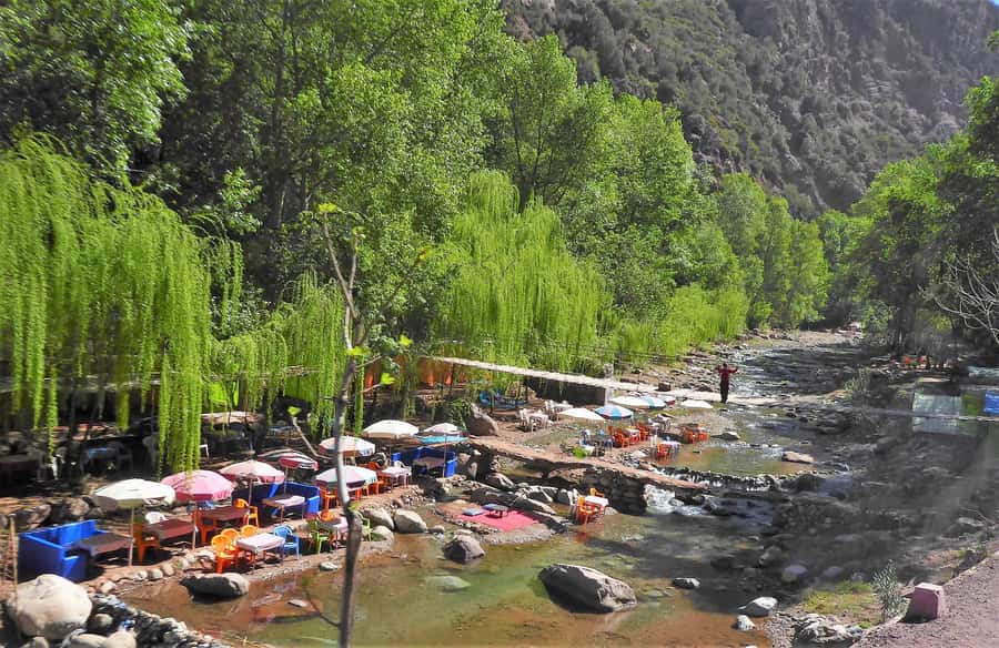 From Marrakech: Ourika Valley Trip, Waterfall Hike & Lunch - Who will enjoy this outing most