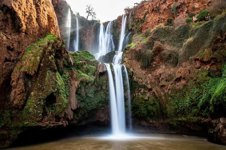From Marrakech: Ouzoud Waterfalls Guided Hike and Boat Tour - Barbary monkeys among the olive trees