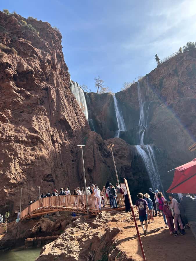 From Marrakech: Ouzoud Waterfalls Guided Hike and Boat Trip - Barbary macaques near the waterfalls