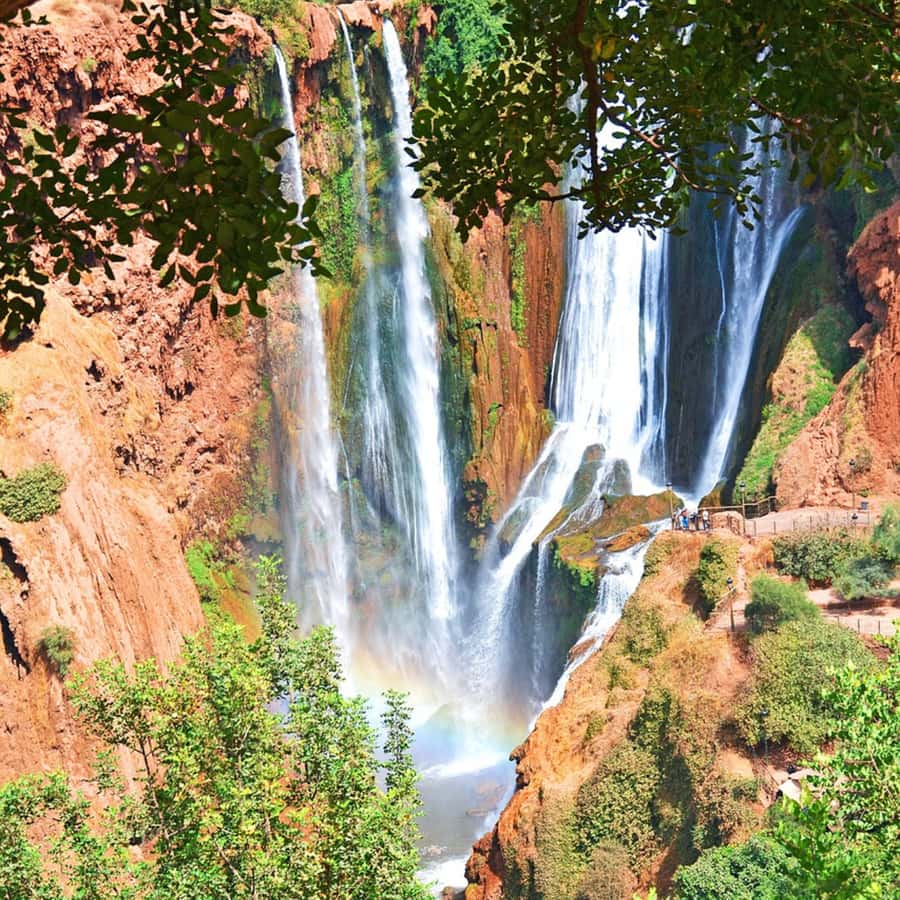 From Marrakech: Ouzoud Waterfalls Guided Tour and Boat Ride - Monkeys, birds, and the natural setting
