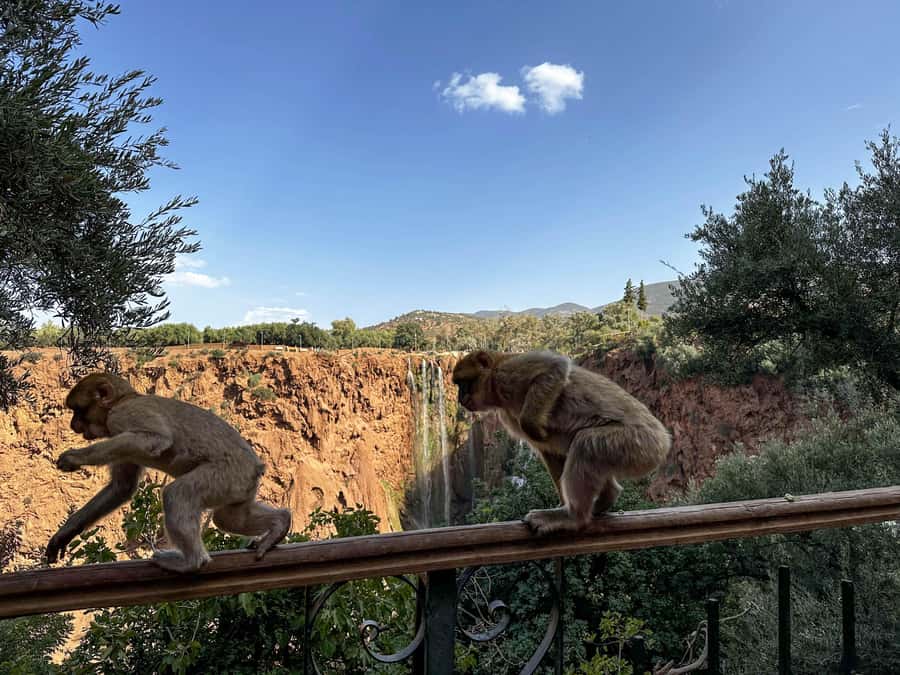 From Marrakech: Ouzoud Waterfalls Guided Trip with Boat Ride - Walking down to the valley and back up
