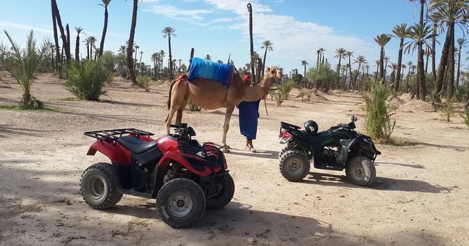 From Marrakech: Palm Grove Quad Bike and Camel Ride Tour - Key points to know before booking