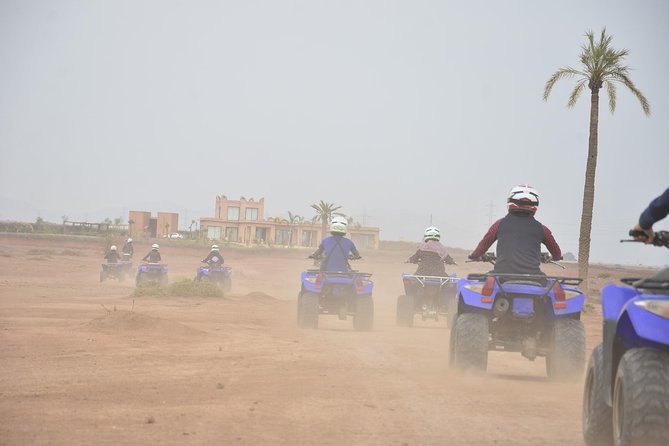 From Marrakech: Palm Grove Quad Bike and Camel Ride Tour - Mint tea at a traditional bivouac