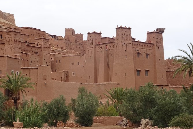 From Marrakech: Private Tour to Oasis and Trekking in the Desert of Erg Chigaga - Who should book this Sahara trip?