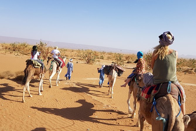 From Marrakech: Private Tour to Oasis and Trekking in the Desert of Erg Chigaga - Day 3: Sunrise, dromedaries, and dinner under desert skies