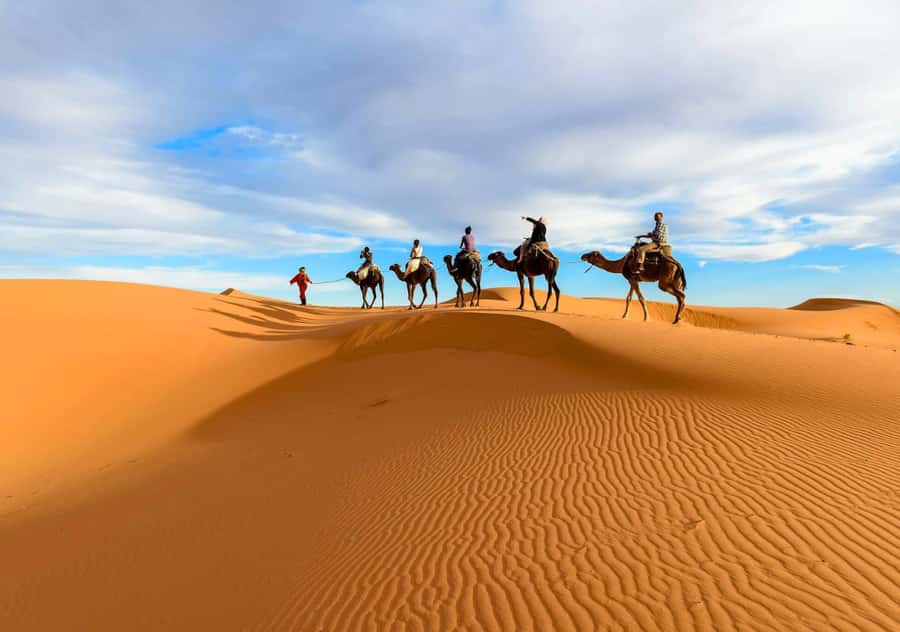 From Marrakech: Quad, Camel, & Dinner 3-Day Merzouga Tour - Key points at a glance
