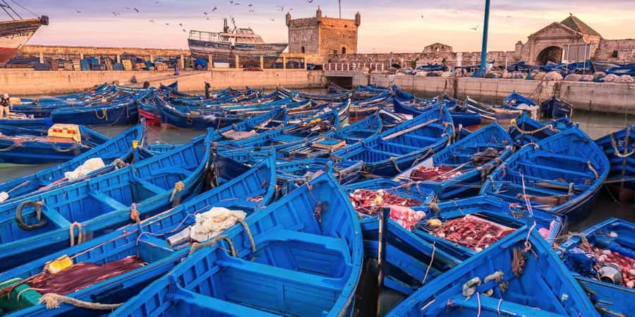 From Marrakech: Small Group To Essaouira & Medina Day Trip - Why Essaouira makes a good day away from Marrakech