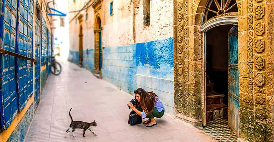 From Marrakech: Small Group To Essaouira & Medina Day Trip - Arriving at Essaouira’s medina and old fortifications