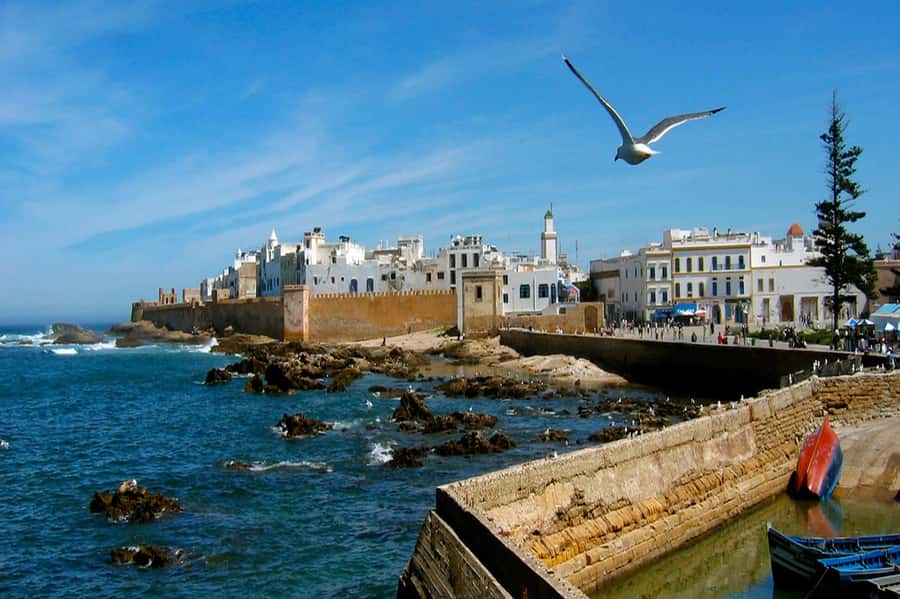 From Marrakech: Small Group To Essaouira & Medina Day Trip - Thuya wood, Gnaoua music, and local craft