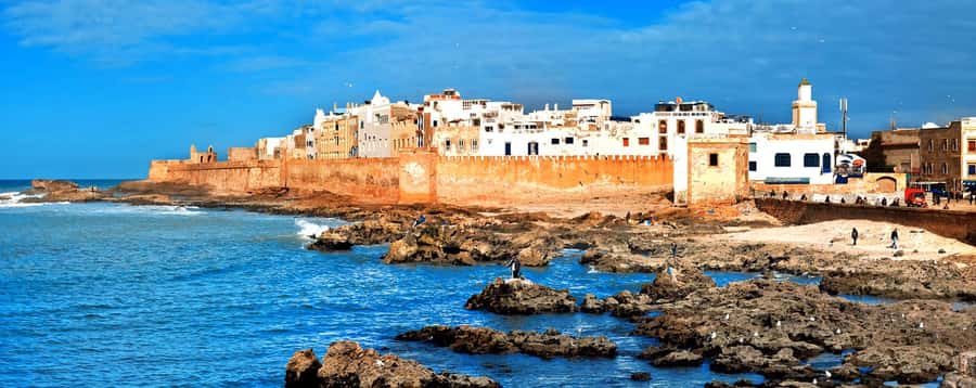 From Marrakech: Small Group To Essaouira & Medina Day Trip - The fishing port and a seafood lunch