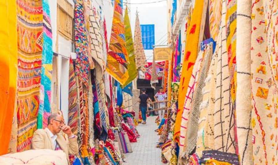 From Marrakech: Small Group to Essaouira & Sekkala Day Trip - The argan cooperative and Morocco’s famous tree