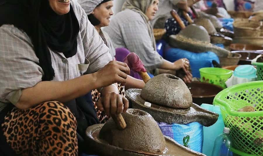 From Marrakech: Small Group to Essaouira & Sekkala Day Trip - Lunch near the port and time beside the water