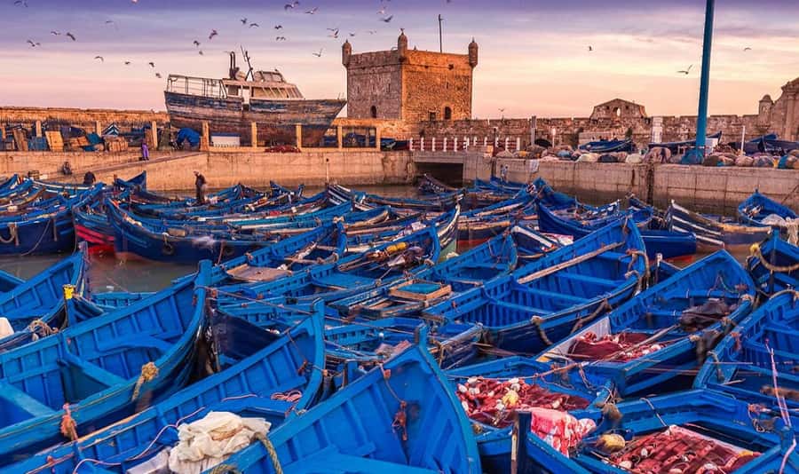 From Marrakech: Small Group to Essaouira & Sekkala Day Trip - Morning pickup and the first stretch from Marrakech