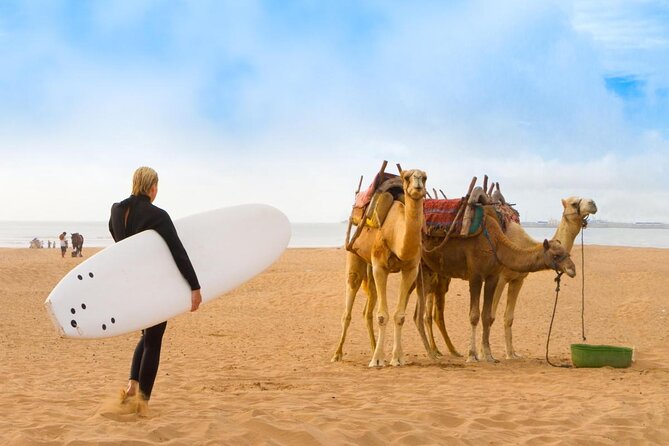 From Marrakech To Essaouira Mogador Full Day Trip | Small-group - Key points at a glance