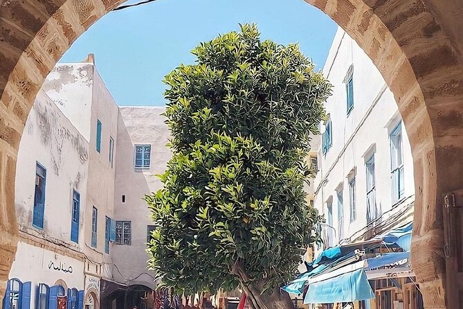 From Marrakech To Essaouira Mogador Full Day Trip | Small-group - Beach time, shopping, and the short clock
