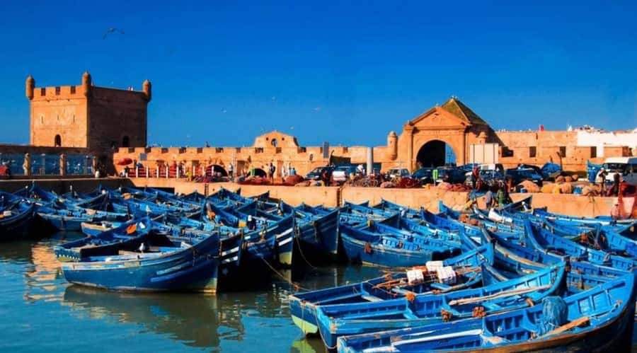 From Marrakech To Essaouira Mogador Full Day Trip Smallgroup - What makes this day trip worth considering