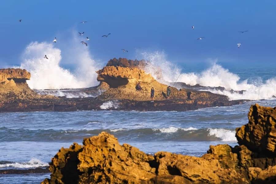 From Marrakech To Essaouira Mogador Full Day Trip Smallgroup - Why Essaouira makes a good escape from Marrakech