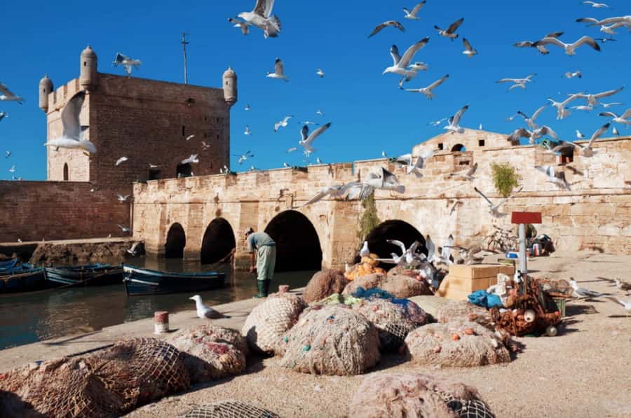 From Marrakech To Essaouira Mogador Full Day Trip Smallgroup - Argan trees and the women’s cooperative