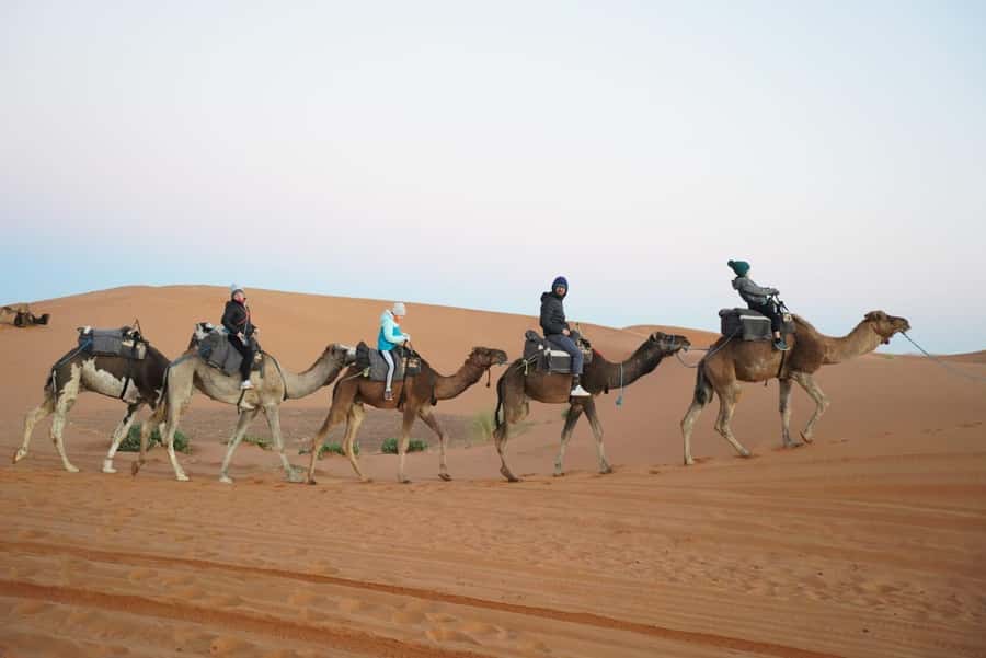 From Marrakech to Fes 3-Day Luxrury Tour via Sahara Desert - Day two: Todra Gorge and the Erg Chebbi dunes
