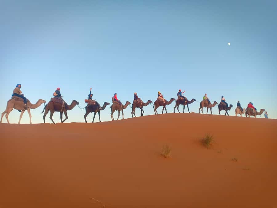 From Marrakech to Fes 3-Day Luxrury Tour via Sahara Desert - The drivers and guides shape the experience