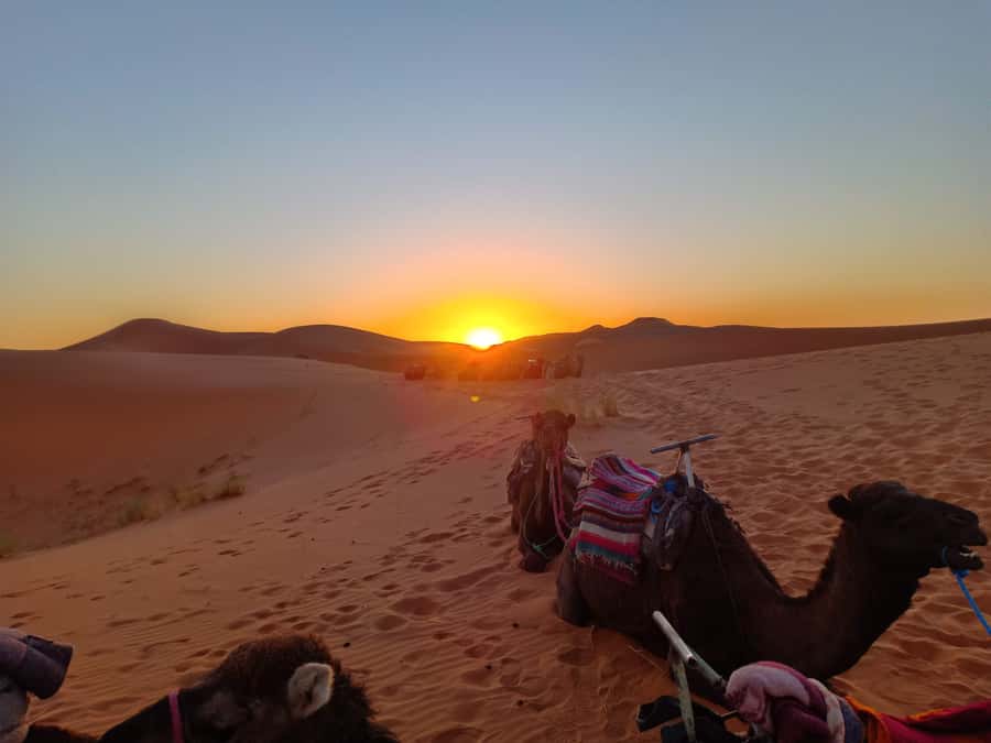 From Marrakech to Fes 3-Day Luxrury Tour via Sahara Desert - Vehicle comfort, group size, and the cost of long roads