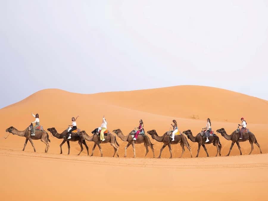 From Marrakech: Unforgettable 3-Day Desert Tour to Fes - Five things to know before booking