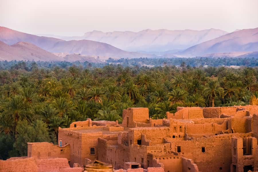 From Marrakech: Unforgettable 3-Day Desert Tour to Fes - Riding camels into the golden Sahara