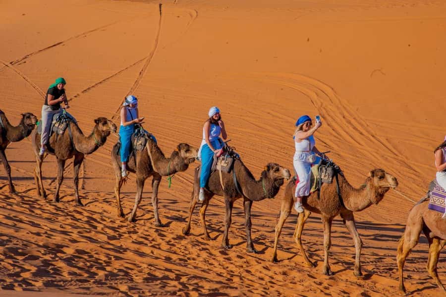 From Marrakech: Unforgettable 3-Day Desert Tour to Fes - Who will enjoy this trip most