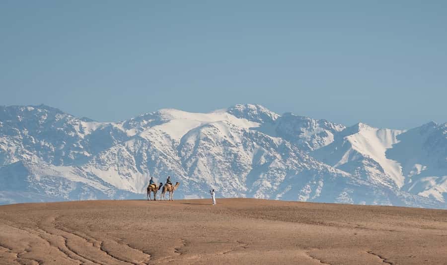 From Marrakech: VIP Agafay Desert & Oasis Camel Experience - Key Points at a Glance