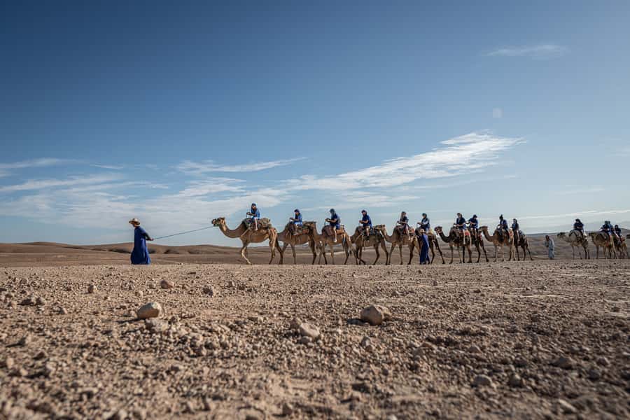 From Marrakech: VIP Agafay Desert & Oasis Camel Experience - Why Agafay Works for a Short Desert Trip