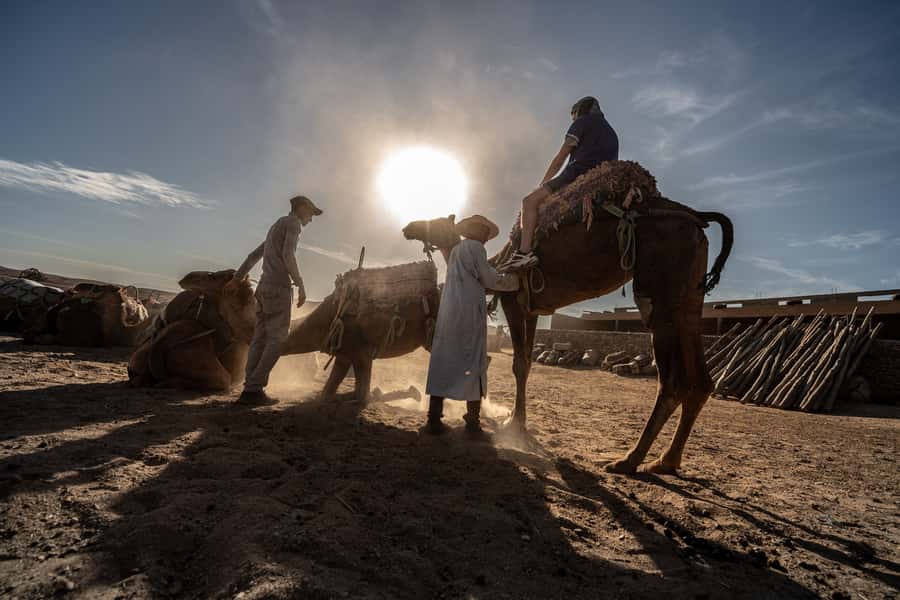 From Marrakech: VIP Agafay Desert & Oasis Camel Experience - Arriving at the Oasis Starting Point