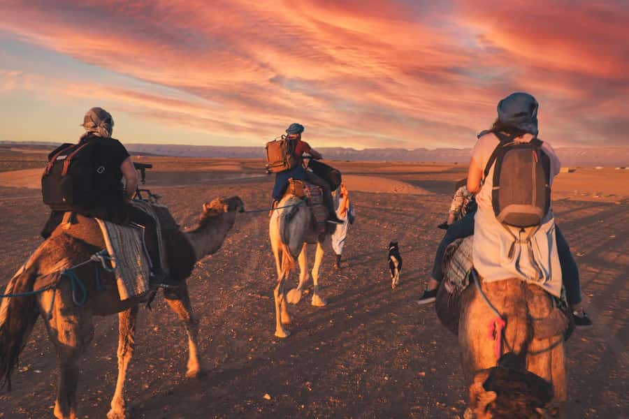 From Marrakech: Zagora 2-Day Desert Safari with Food & Camp - Day 1: Crossing the High Atlas from Marrakech