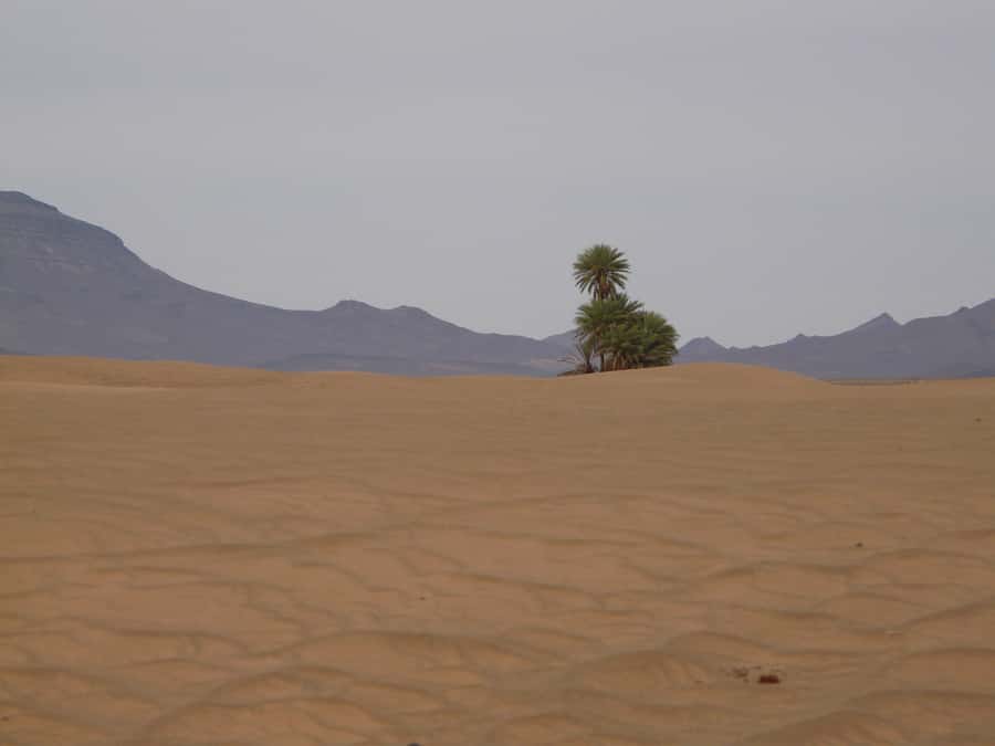 From Marrakesh: 2-Day Desert Zagoura Tour - Lunch in Ouarzazate and the Drâa Valley