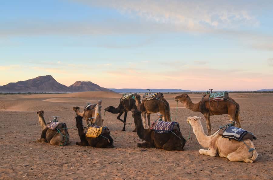 From Marrakesh: 2-Day Desert Zagoura Tour - Sunrise and the return through southern Morocco
