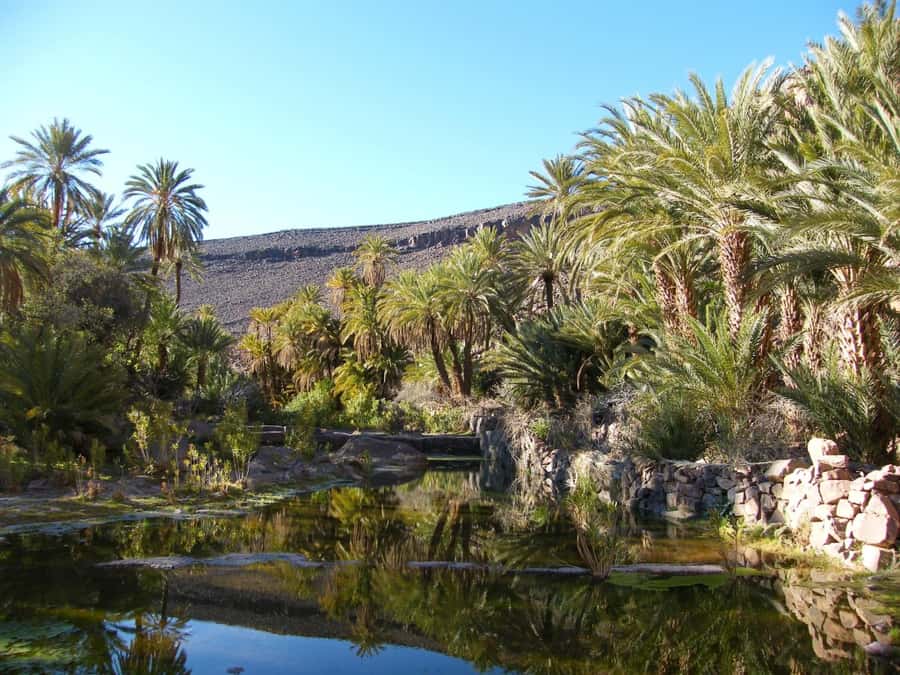 From Marrakesh: 2-Day Trek to Ait-Benhaddou and Ouarzazate - Who should book this two-day trip?