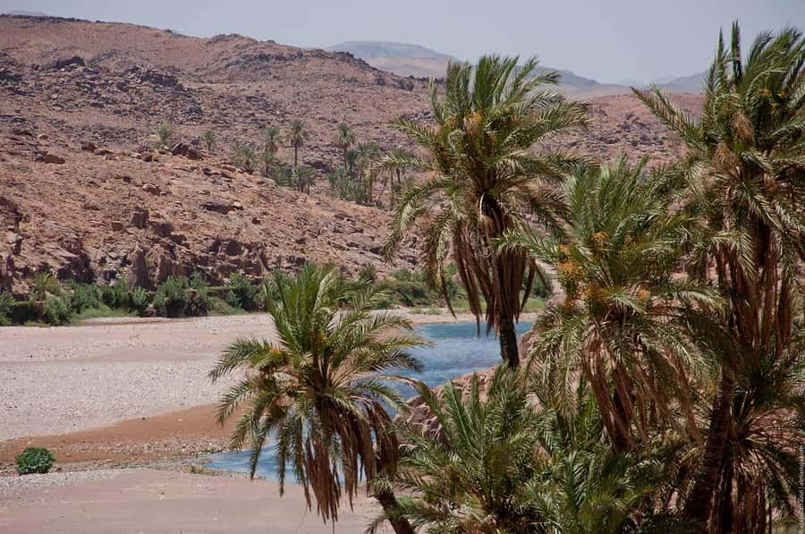 From Marrakesh: 4-Day Private Atlas Mountains & Desert Tour - The Erg Chebbi sunset and your desert night